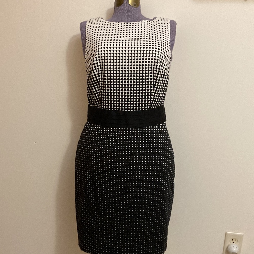 Ann Taylor Dress